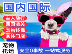 吕梁空运国际宠物托运 【国
